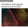 Handbook of Amygdala Structure and Function, Volume 26 (EPUB)