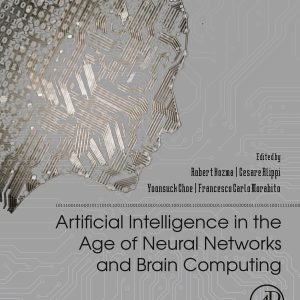 Artificial Intelligence in the Age of Neural Networks and Brain Computing (Original PDF from Publisher)