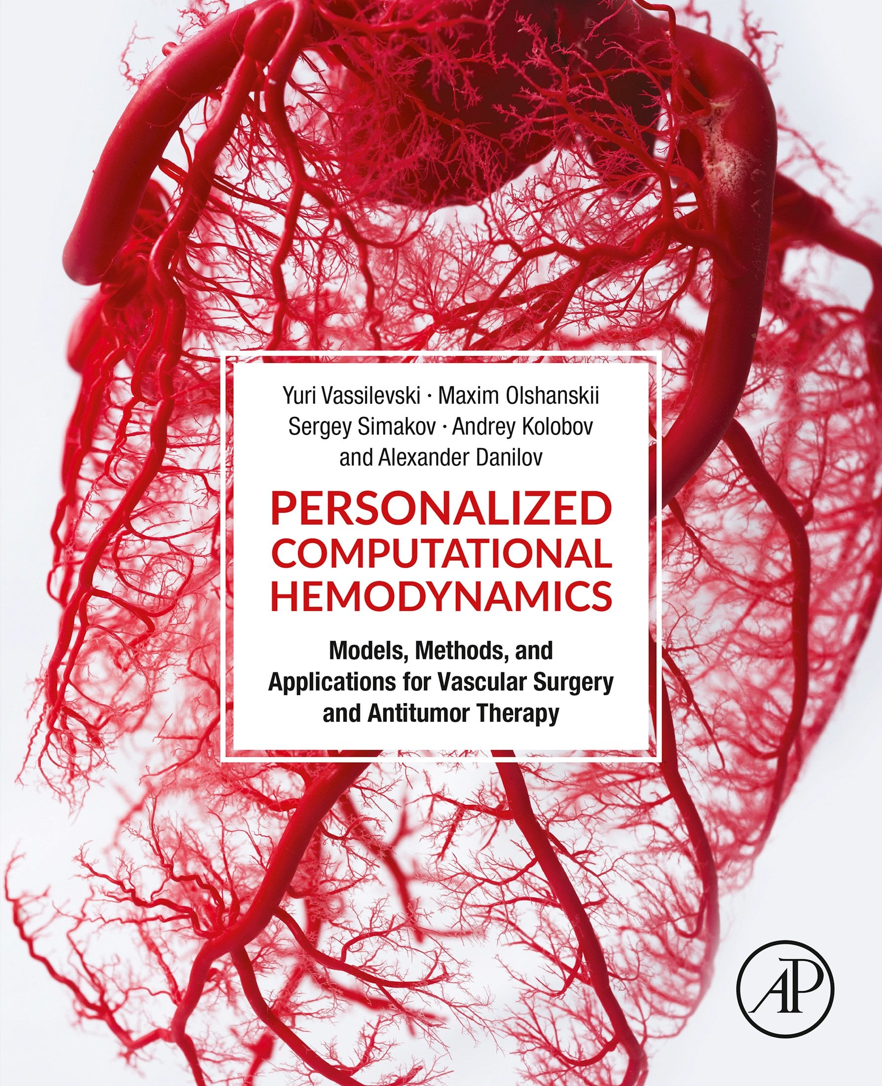 Personalized Computational Hemodynamics: Models, Methods, and Applications for Vascular Surgery and Antitumor Therapy (EPUB)