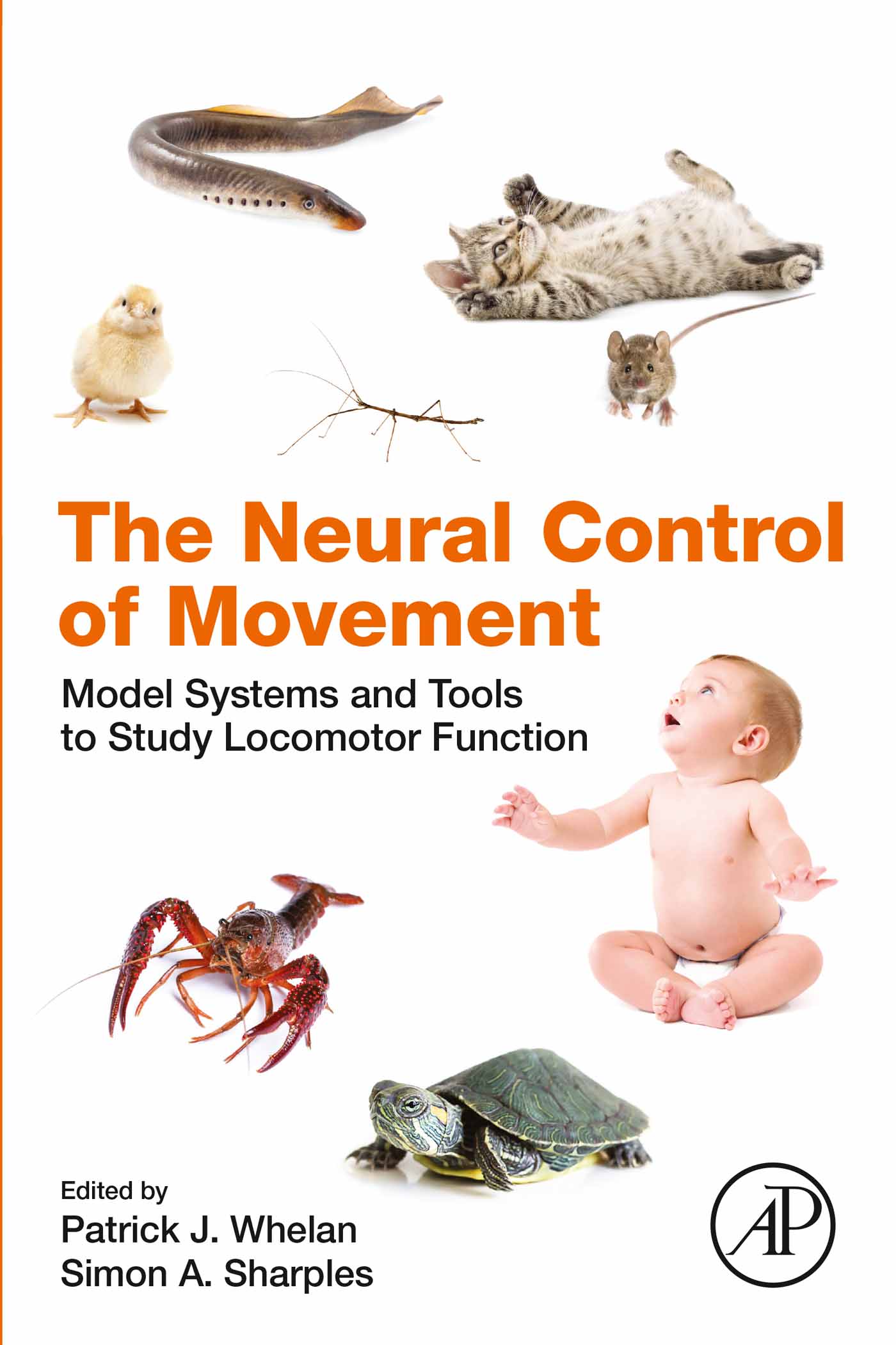 The Neural Control of Movement: Model Systems and Tools to Study Locomotor Function (EPUB)