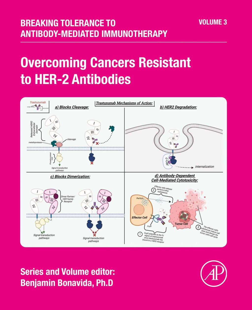 Overcoming Cancers Resistant to HER-2 Antibodies (Original PDF from Publisher)
