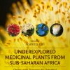 Underexplored Medicinal Plants from Sub-Saharan Africa: Plants with Therapeutic Potential for Human Health (Original PDF from Publisher)