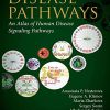 Disease Pathways: An Atlas of Human Disease Signaling Pathways (EPUB)