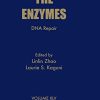 DNA Repair (Volume 45) (The Enzymes, Volume 45) (Original PDF from Publisher)