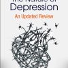 The Nature of Depression: An Updated Review (Original PDF from Publisher)