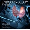 Handbook of Diagnostic Endocrinology, 3rd Edition (Original PDF from Publisher)