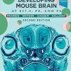Atlas of the Developing Mouse Brain, 2nd Edition (Original PDF from Publisher)