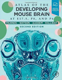 Atlas of the Developing Mouse Brain, 2nd Edition (Original PDF from Publisher)