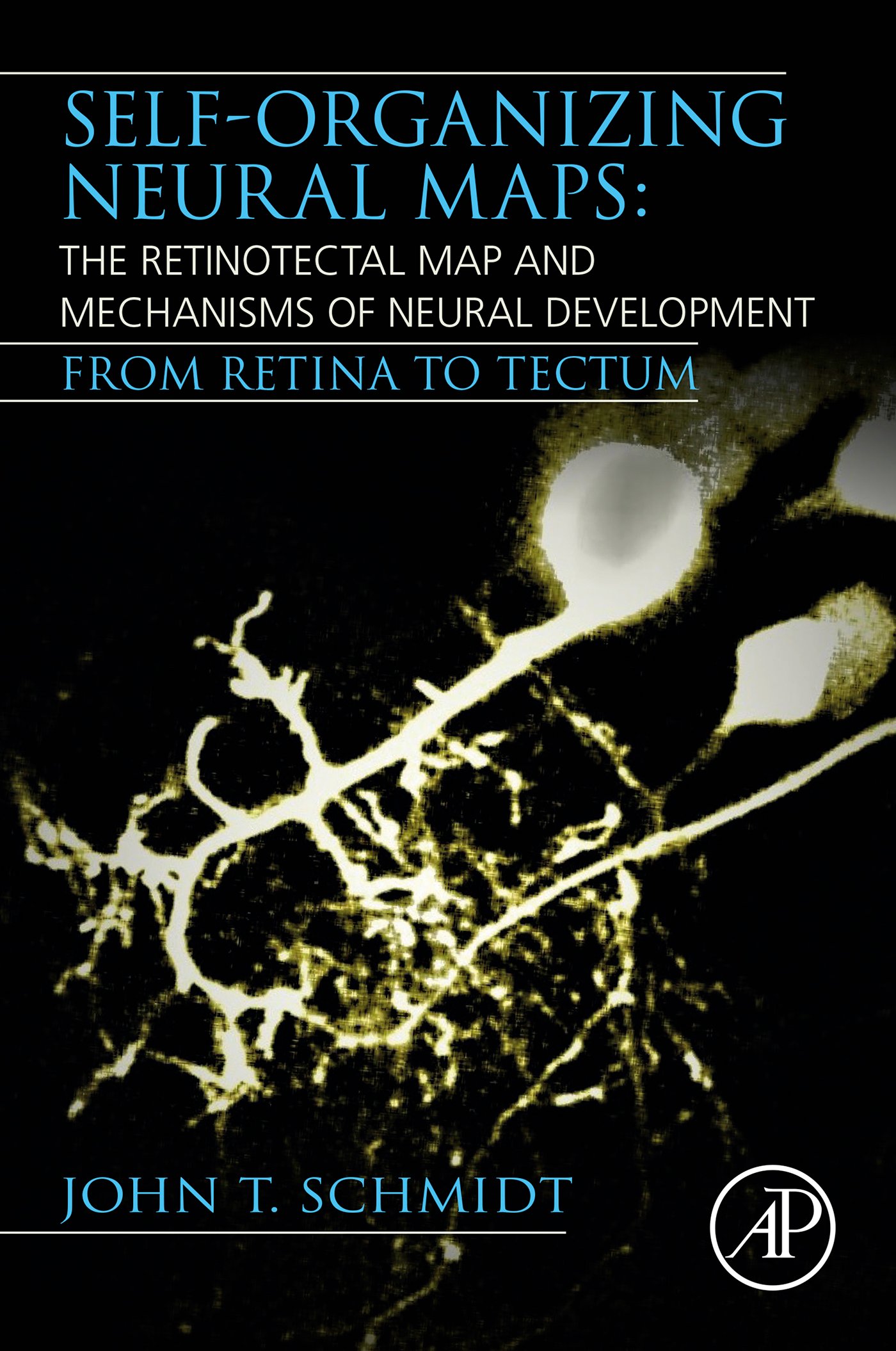 Self-organizing Neural Maps: The Retinotectal Map and Mechanisms of Neural Development: From Retina to Tectum (EPUB)