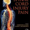 Spinal Cord Injury Pain (Original PDF from Publisher)