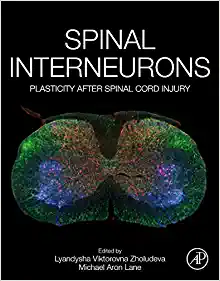 Spinal Interneurons: Plasticity after Spinal Cord Injury (EPUB)