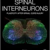 Spinal Interneurons: Plasticity after Spinal Cord Injury (Original PDF from Publisher)