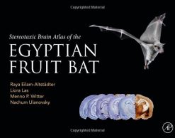 Stereotaxic Brain Atlas of the Egyptian Fruit Bat (Original PDF from Publisher)