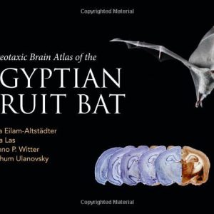 Stereotaxic Brain Atlas of the Egyptian Fruit Bat (Original PDF from Publisher)