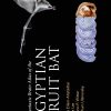 Stereotaxic Brain Atlas of the Egyptian Fruit Bat (EPUB)
