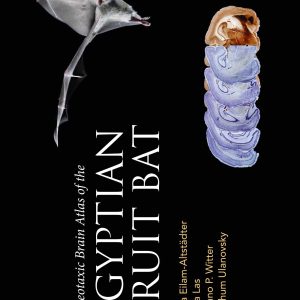 Stereotaxic Brain Atlas of the Egyptian Fruit Bat (EPUB)