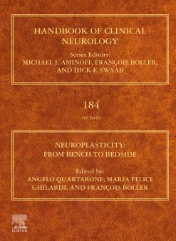 Neuroplasticity: From Bench to Bedside (Volume 184) (EPUB)