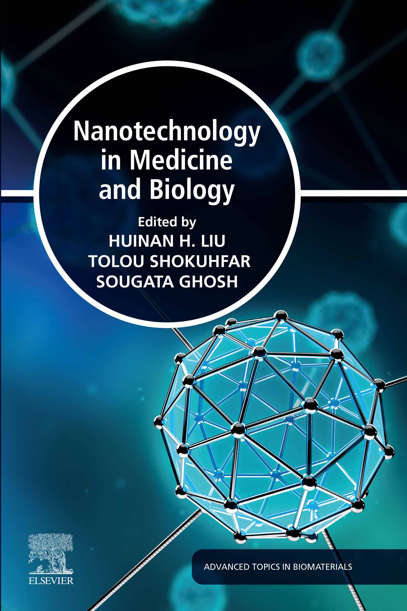 Nanotechnology in Medicine and Biology (Original PDF from Publisher)