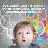 Evaluation and Treatment of Neuropsychologically Compromised Children (EPUB)
