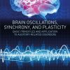 Brain Oscillations, Synchrony and Plasticity: Basic Principles and Application to Auditory-Related Disorders (EPUB)