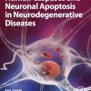 Human Caspases and Neuronal Apoptosis in Neurodegenerative Diseases (Original PDF from Publisher)