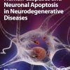 Human Caspases and Neuronal Apoptosis in Neurodegenerative Diseases (EPUB)