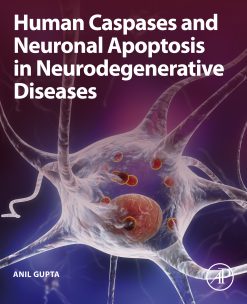 Human Caspases and Neuronal Apoptosis in Neurodegenerative Diseases (EPUB)