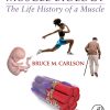 Muscle Biology: The Life History of a Muscle (Original PDF from Publisher)