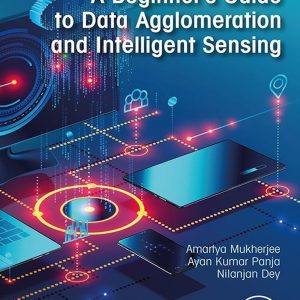 A Beginner’s Guide to Data Agglomeration and Intelligent Sensing (Original PDF from Publisher)
