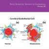 Novel Therapeutic Advances in Glioblastoma (Volume 151) (International Review of Neurobiology (Volume 151)) (Original PDF from Publisher)