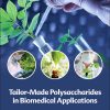 Tailor-Made Polysaccharides in Biomedical Applications (EPUB)