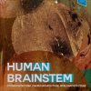 Human Brainstem: Cytoarchitecture, Chemoarchitecture, Myeloarchitecture (Original PDF from Publisher)