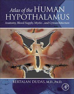 Atlas of the Human Hypothalamus: Anatomy, Blood Supply, Myelo-, and Cytoarchitecture (Original PDF from Publisher)