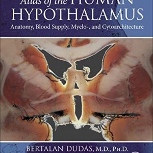 Atlas of the Human Hypothalamus: Anatomy, Blood Supply, Myelo-, and Cytoarchitecture (Original PDF from Publisher)