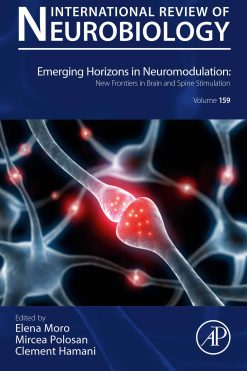 Emerging Horizons in Neuromodulation: New Frontiers in Brain and Spine Stimulation (EPUB)