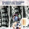 Diagnosis and Treatment of Spinal Cord Injury (Original PDF from Publisher)