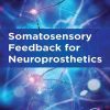 Somatosensory Feedback for Neuroprosthetics (EPUB)