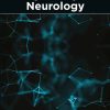 Big Data in Psychiatry and Neurology (EPUB)