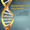 Epigenetics in Psychiatry, 2nd Edition (Original PDF from Publisher)
