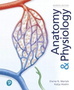 Anatomy & Physiology (Elaine Marieb) (7th Edition) (Original PDF from Publisher)