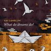 What Do Dreams Do? (Original PDF from Publisher)