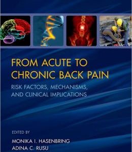From Acute to Chronic Back Pain: Risk Factors, Mechanisms, and Clinical Implications
