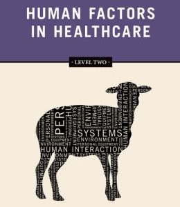 Human Factors in Healthcare: Level Two