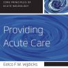 Providing Acute Care (Core Principles of Acute Neurology) (EPUB)