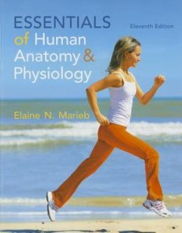 Essentials of Human Anatomy and Physiology, 11th Edition
