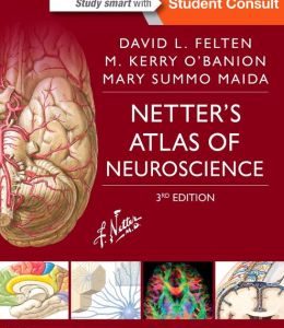 Netter’s Atlas of Neuroscience, 3rd Edition (ORIGINAL PDF from Publisher)