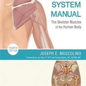 The Muscular System Manual: The Skeletal Muscles of the Human Body, 4th Edition (PDF)