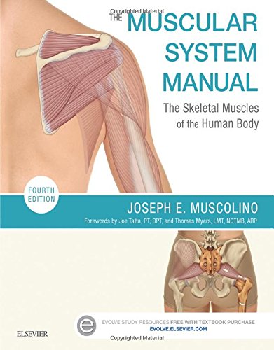 The Muscular System Manual: The Skeletal Muscles of the Human Body, 4th Edition (PDF)