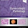 Gynecologic Pathology: A Volume in Foundations in Diagnostic Pathology Series, 2nd Edition (EPUB)
