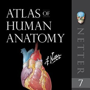 Atlas of Human Anatomy, 7e (Netter Basic Science) (Original PDF from Publisher)